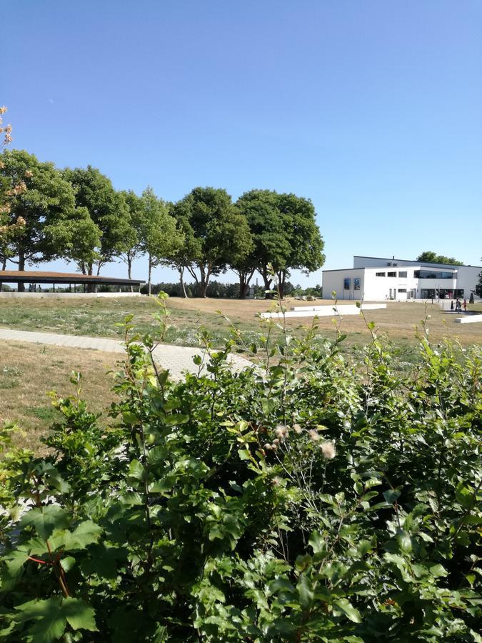 Danhostel Faxe Kalkbrud Esterno foto