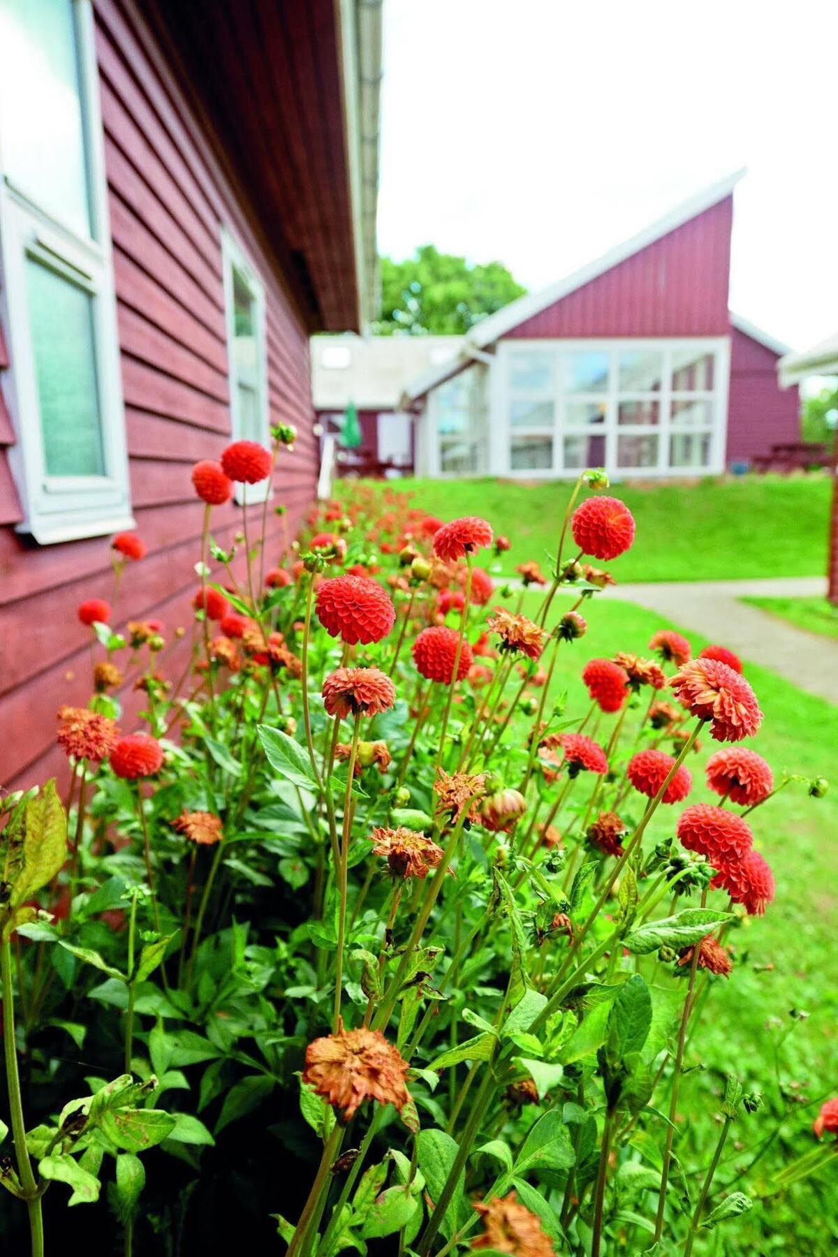 Danhostel Faxe Kalkbrud Esterno foto