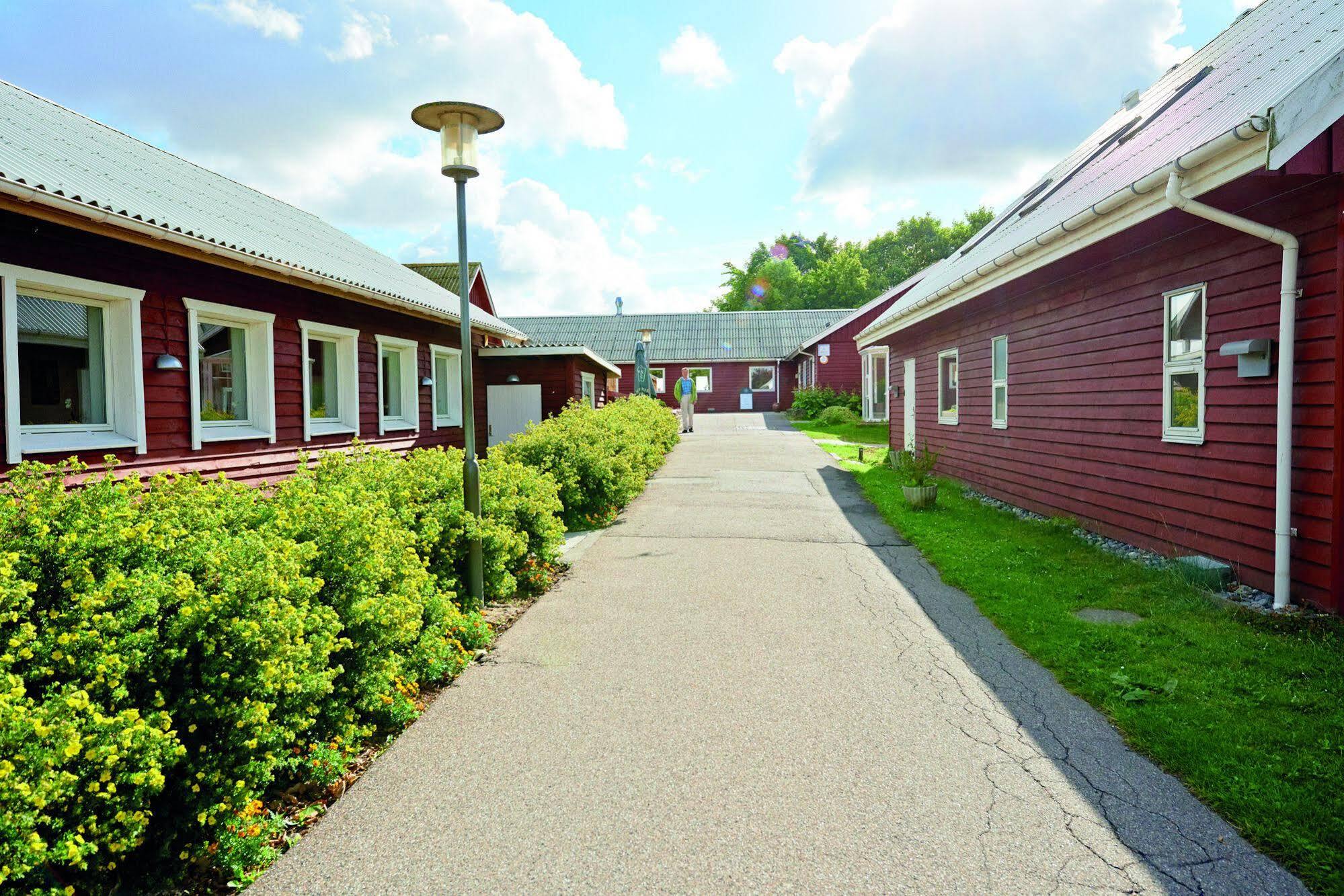 Danhostel Faxe Kalkbrud Esterno foto
